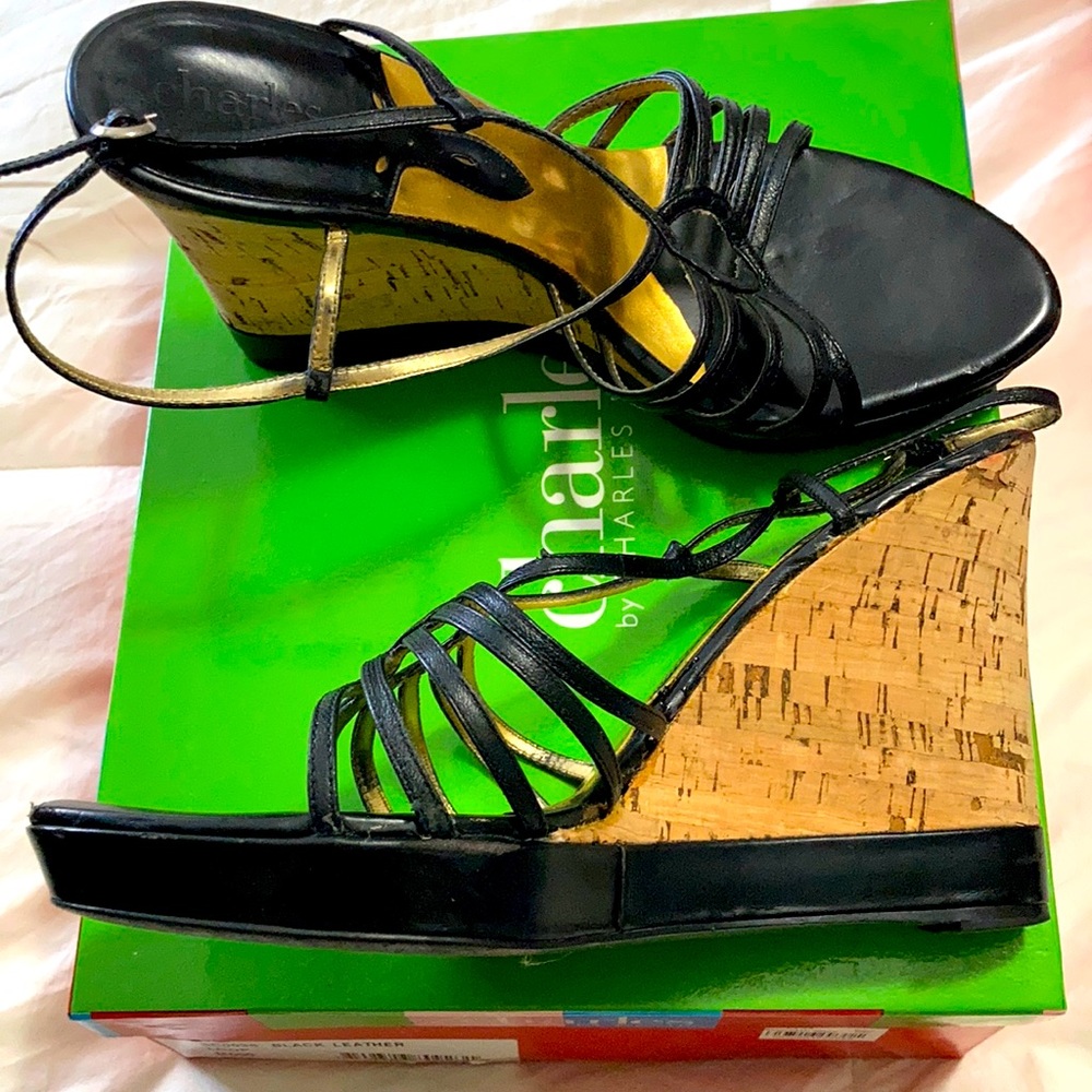 Charles David Wedges